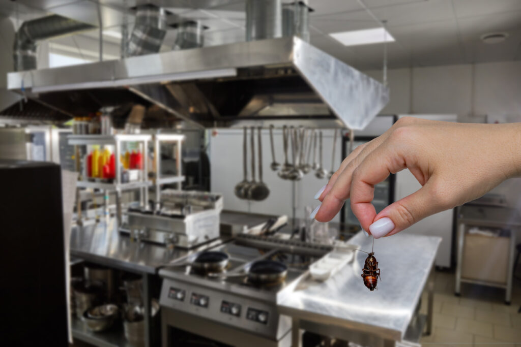 Restaurant Pest Controllers